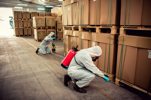 Wildlife Control Services in Englewood, CO
