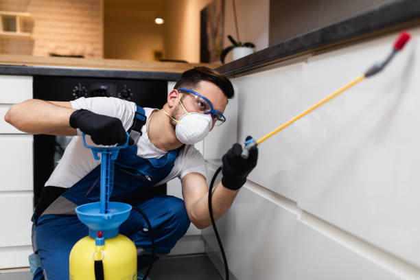 Best Pest Control Near Me  in Englewood, CO