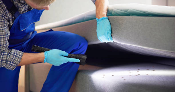 Pest Control for Restaurants in Englewood, CO